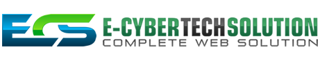 E-Cybertech Solution